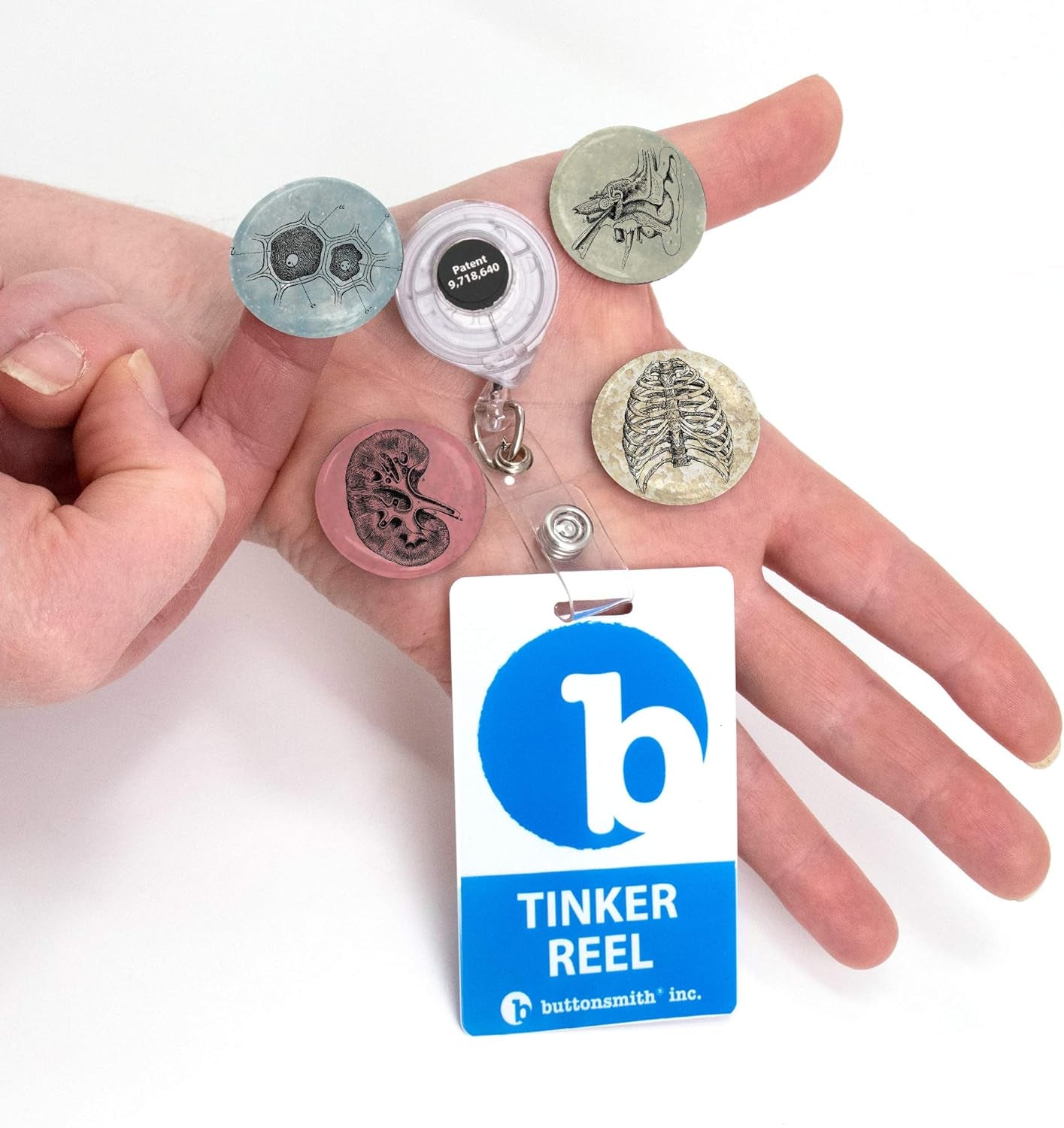 Anatomy Two Tinker Reel Retractable Badge Reel - with Alligator Clip and Extra-Long 36 Inch Standard Duty Cord - Made in the USA