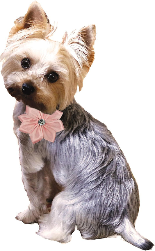 180145 Flower Pet Apparel Accessories, Medium/Large, Pink