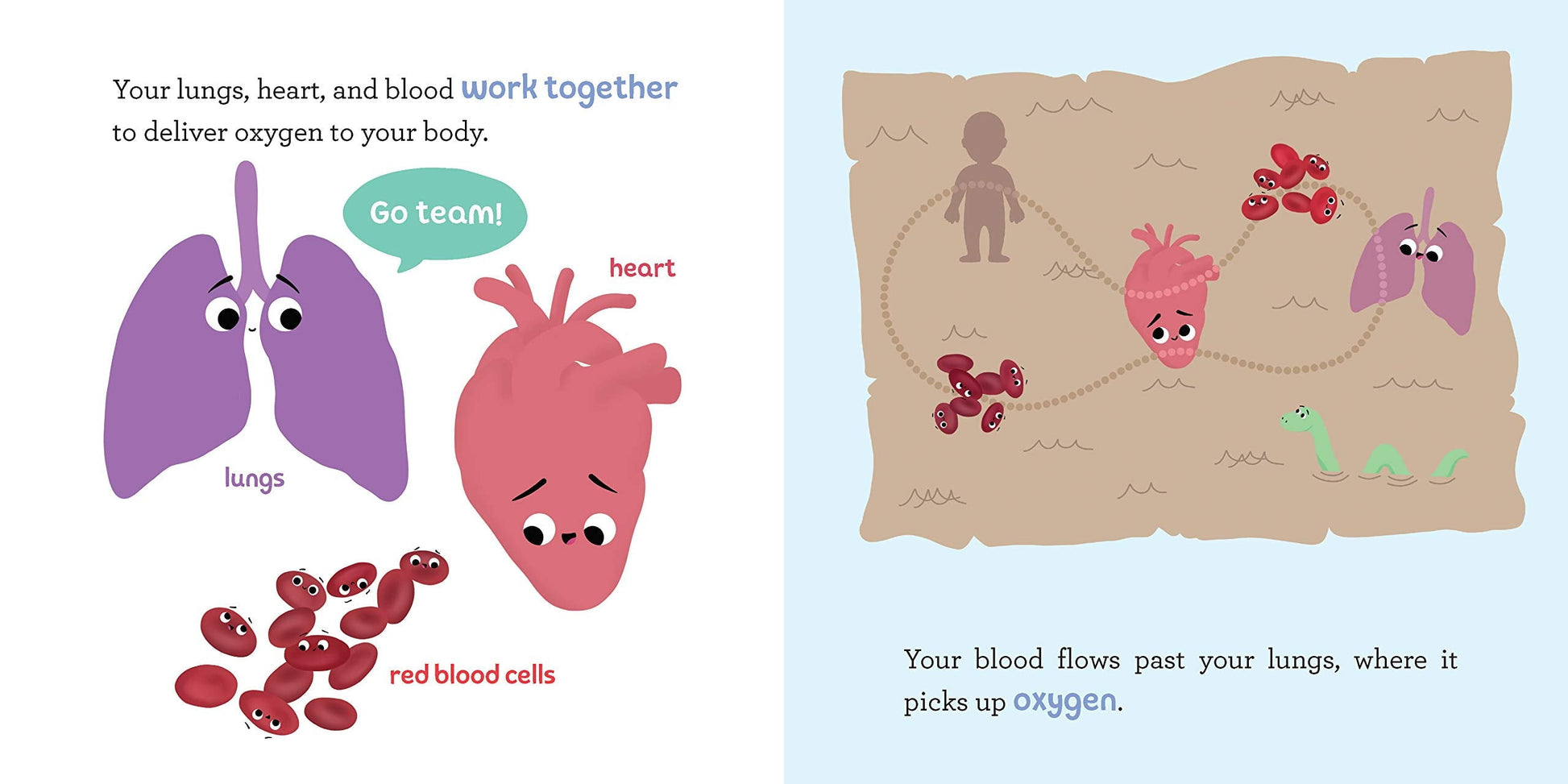 Baby University: Baby Medical School: My Doctor'S Visit (Board Book)